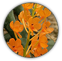 ASCOCENTRUM | ASCOCENTRUM